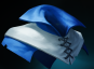 Intelligensmantel