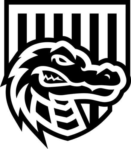 CyberHero logo